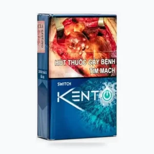 Vietnamese Kent Switch
